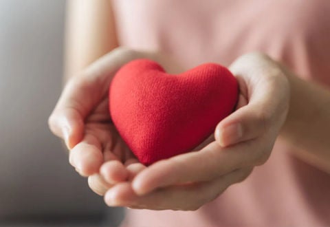 Care Services We Provide