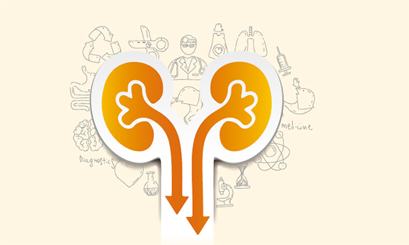 runs general transplant clinics, follow-up
clinics for living kidney donors, and disease management
transplant clinics.