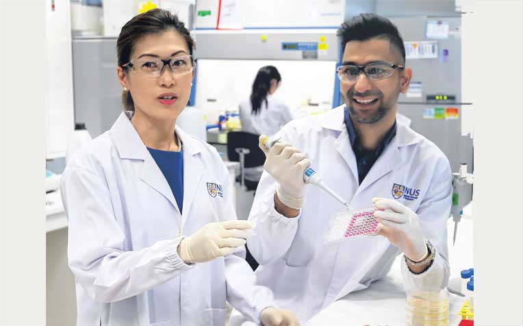 are
part of an NUS
research team
that has been
developing
corkscrew
peptides to fight
multi-drug
resistant
TB bacteria.