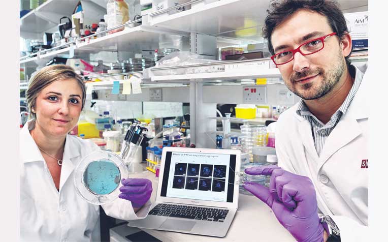 ​between Dr Pavesi’s fingertips is no larger than a stamp but he hopes to use it to explore electric fields and cancer cells. Team member Giulia Adriani is
holding the mould used to make the tool.
