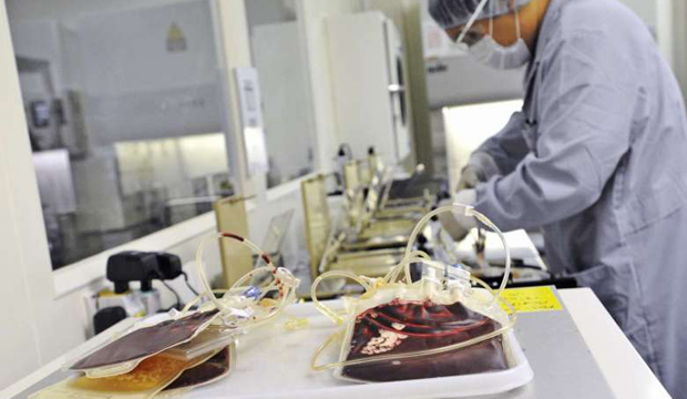  ​​A medical technician processes cord blood into smaller amounts of usable stem cells at Singapore Cord Blood Bank (SCBB).  PHOTO ST FILE