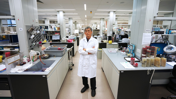  ​Assoc Prof Koh Tse Hsien, Senior Consultant at SGH’s Department of Pathology reveals how an unofficial tag team of microbiologists and ID physicians solved the mystery of the unusual outbreak of Group B Streptococcus (GBS) infections in 2015.