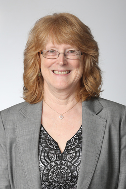 Associate Professor Sandy Cook