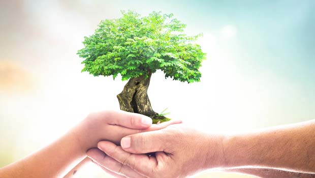  ​Singapore's organ donation rate lags behind other developed countries. Prof William Hwang, Director of SingHealth Transplant, plans to improve it by first focusing on engaging and training healthcare staff.   