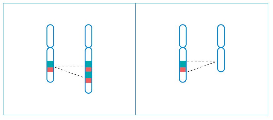 Extra or missing parts of chromosomes