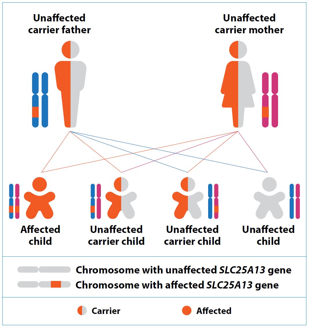 How is Citrin Deficiency inherited?