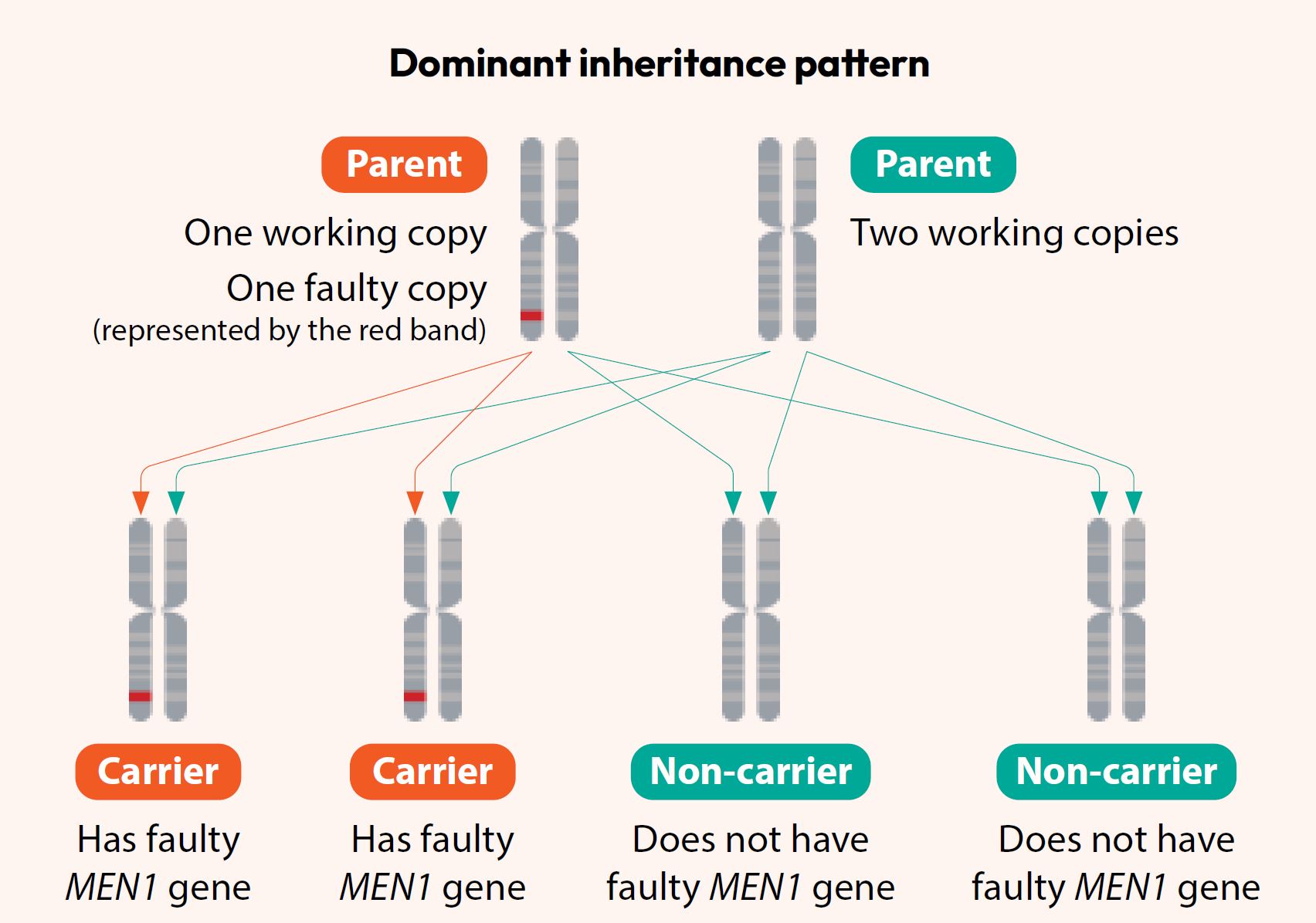 Dominant inheritance pattern