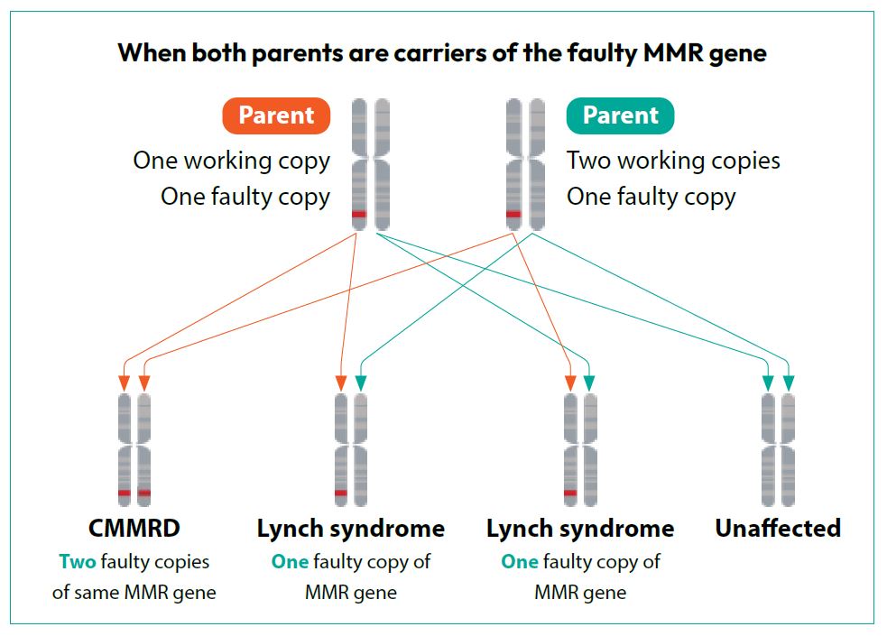 When both parents are carriers of the faulty MMR gene