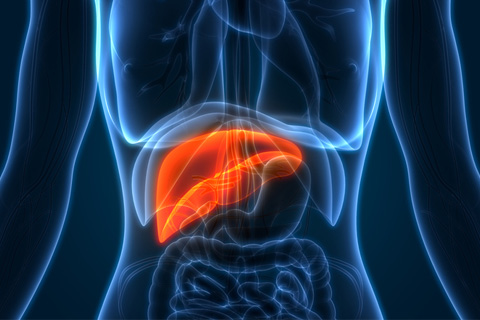 Liver Hemangioma condition and treatments