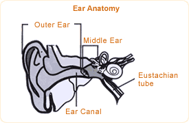 Causes of  otitis media with effusion - KKH