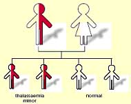 one parent has thalassaemia minor