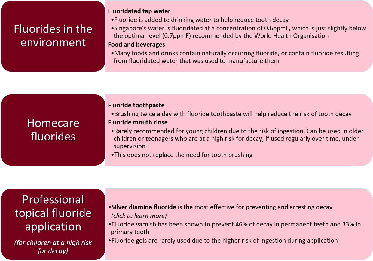 Types of fluoride include those in the environment, homecare fluorides and professional topical fluoride application