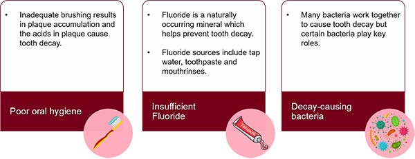 early childhood caries risk factors