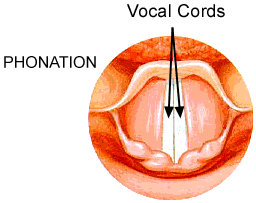 Throat airway Singapore General Hospital