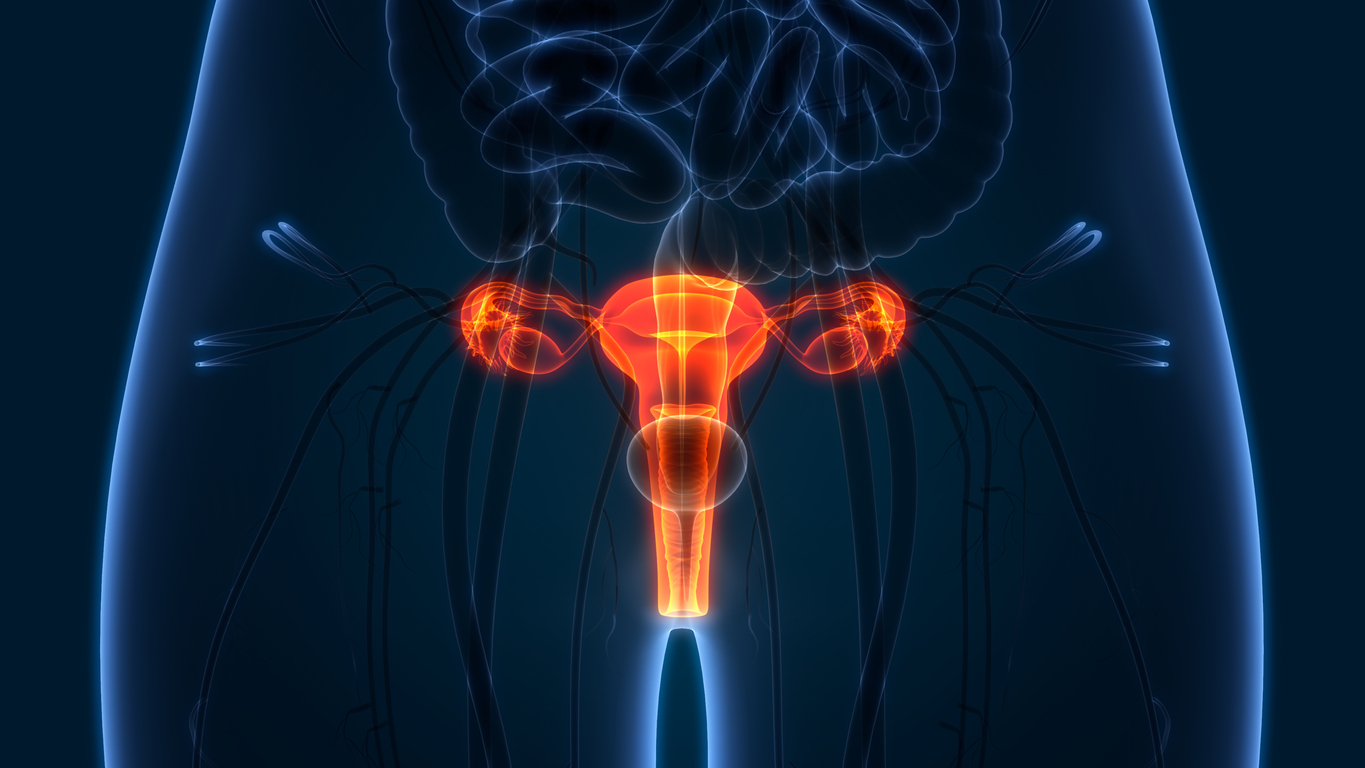 Utero-vaginal prolapse involves the descent of the uterus and/or vagina | SingHealth