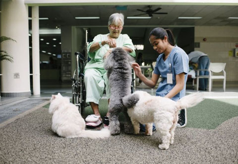  ​Senior occupational therapist Gelena Anandarajah, with a patient and therapy animals at Ang Mo Kio-Thye Hua Kwan Community Hospital, won the Superstar Award in the intermediate and long-term care allied health category at the Singapore Health Quality Service Awards 2018.ST PHOTO ALVIN HO  